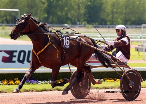 milliard turf blogspot|le roi du turf blogspot.